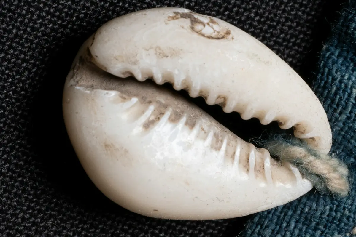 Cauris posés sur un tissu indigo